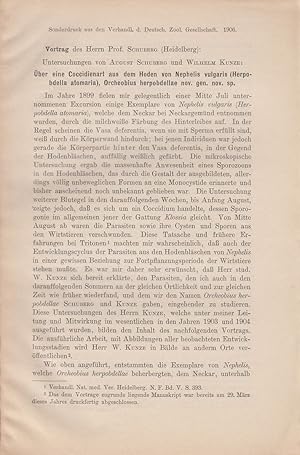 Imagen del vendedor de Uber eine Coccidienart aus dem Hoden von Nephelis vulgaris (Herpobdella atomaria), Orcheobius herpobdellae nov. gen. nov. sp. by Schuberg, August and Kunze, Wilhelm a la venta por Robinson Street Books, IOBA