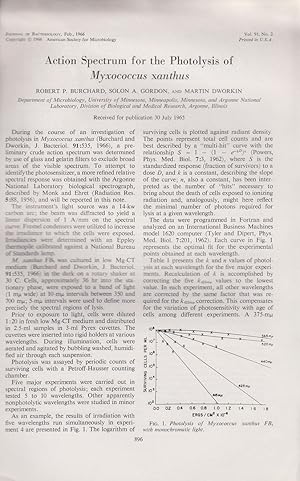 Seller image for Action Spectrum for the Photolysis of Myxococcus xanthus by Burchard, Robert P., Gordon, Solon A., and Dworkin, Martin for sale by Robinson Street Books, IOBA