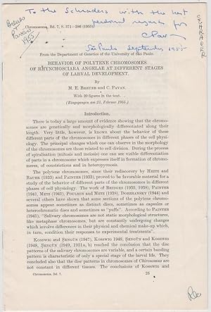 Imagen del vendedor de Behavior of Polytene Chromosomes of Rhynchosciara Angelae at Different Stages of Larval Development by Breuer, M.E.; Pavan, C. a la venta por Robinson Street Books, IOBA