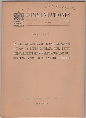 Bild des Verkufers fr Influenze Attivanti e Caudalizzanti Lungo La Linea Mediana Del Tetto Dell'Archenteron Nell' Induzione Del Sistema Nervoso Di Anfibi Urodeli by Sala, Mario zum Verkauf von Robinson Street Books, IOBA