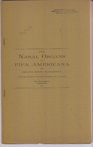 Seller image for The Nasal Organs of Pipa Americana by Bancroft, Irving Reed for sale by Robinson Street Books, IOBA