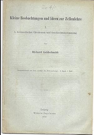 Kleine Beobachtungen und Ideen zur Zellenlehre, I. 1. Accessorisches Chromosom und Geschlechtsbes...