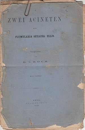 Seller image for Zwei Acineten auf Plumularia Setacea. Ellis. by Koch, G. v. for sale by Robinson Street Books, IOBA