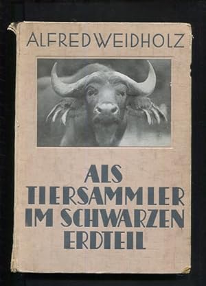 Imagen del vendedor de Als Tiersammler im schwarzen Erdteil a la venta por Antiquariat Buchkauz