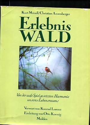 Erlebnis Wald von der aufs Spiel gesetzten Harmonie unseres Lebensraums