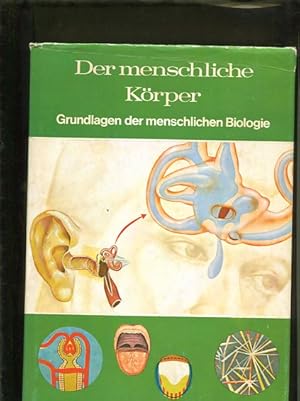 Bild des Verkufers fr Der menschliche Krper. Grundlagen der menschlichen Biologie zum Verkauf von Antiquariat Buchkauz