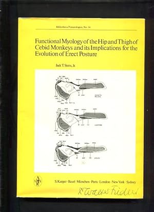Functional myology of the hip and thigh of cebid monkeys and its implications for the evolution o...