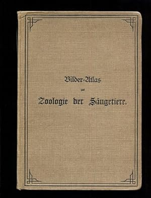 Bilder-Atlas zur Zoologie der Säugetiere. Mit beschreibendem Text mit 258 Holzschnitten nach Phot...