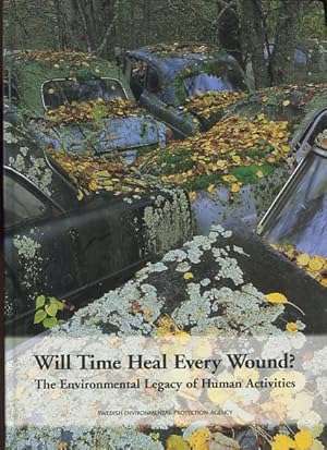 Will Time heal every Wound ?. The Envoiromental Legacy of Human Activities.