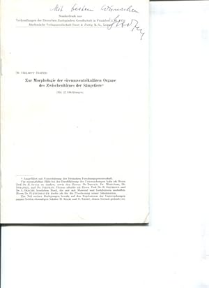 Image du vendeur pour Zur Morphologie der circumventrikulren Organe des Zwischenhirnes der Sugetiere. mis en vente par Antiquariat Buchkauz