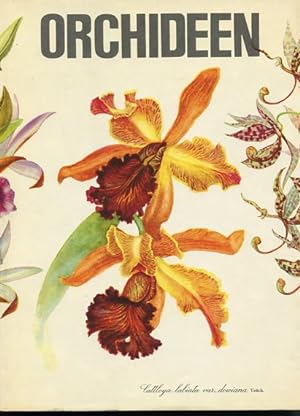 Seller image for Orchideen in Wort u. Bild. Wort: K. H. Meyer. Bild: Kurt Beyer. for sale by Antiquariat Buchkauz