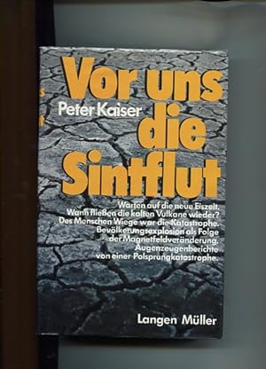 Seller image for Vor uns die Sintflut. Warten auf die neue Eiszeit. for sale by Antiquariat Buchkauz