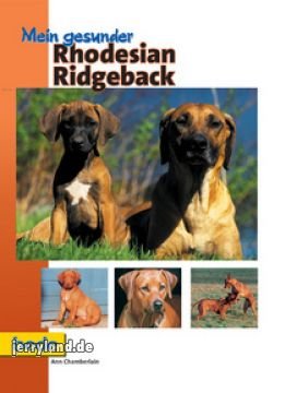 Mein gesunder Rhodesian Ridgeback.