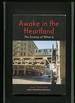Imagen del vendedor de Awake in the Heartland: The Ecstasy of What Is. a la venta por Antiquariat Buchkauz