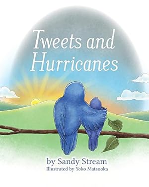 Seller image for Tweets and Hurricanes (River Series) by Stream, Sandy [Paperback ] for sale by booksXpress
