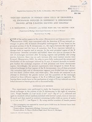 Bild des Verkufers fr Induced Changes in Female Germ cells of Drosophila. VII. Exchanges Induced in Different X Chromosome Regions After X-Raying Oocytes and Oogonia by I. H. Herskowitz, A. Schalet, Sister Mary Del Val Reuter, I. H. M. zum Verkauf von Robinson Street Books, IOBA