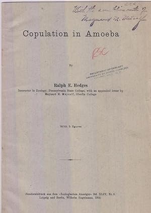 Copulation in Amoeba by Hedges, Ralph E.