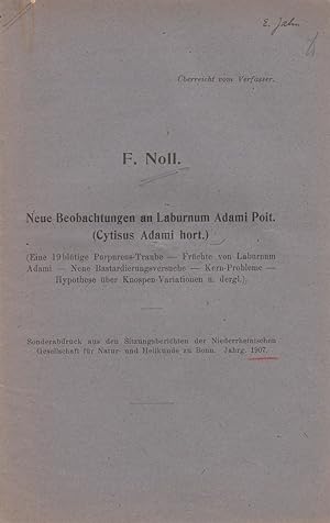 Bild des Verkufers fr Neue Beobachtungen an Laburnum Adami Poit. (Cystisus Adami hort.) by Friedrich C Noll zum Verkauf von Robinson Street Books, IOBA