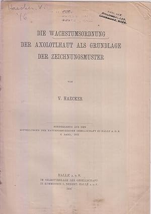 Die Wachstrumsordnung der Axolotlhaut Aals Grundlage der Zeichnungsmuster by Haecker, V.
