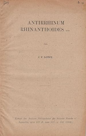 Bild des Verkufers fr Antirrhinum Rhinanthoides by Lotsy, J.P. zum Verkauf von Robinson Street Books, IOBA