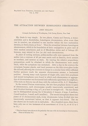 The Attraction Between Homologous Chromosomes by John Belling