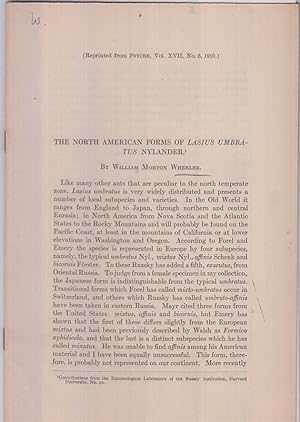 Bild des Verkufers fr The North American Forms of Lasius Umbratus Nylander by Wheeler, William Morton zum Verkauf von Robinson Street Books, IOBA