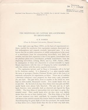 The Response of Catfish Melanophores to Ergotamie by G. H. Parker