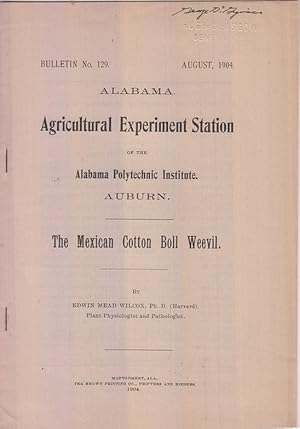 Bild des Verkufers fr The Mexican Cotton Boll Weevil by Wilcox, Edwin Mead zum Verkauf von Robinson Street Books, IOBA