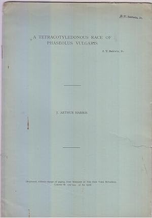 A Tetracotyledonous Race of Phaseolus Vulgaris by Harris, J. Arthur