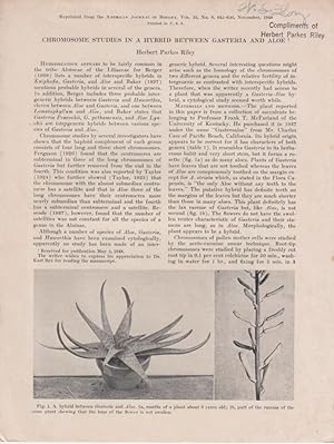 Imagen del vendedor de Chromosome Studies in a Hybrid between Gasteria and Aloe by Riley, Herbert Parkes a la venta por Robinson Street Books, IOBA