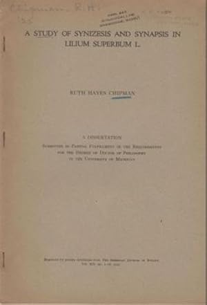 Seller image for A Study of Synthesis and Synapsis in Lilium Superbum L. by Chipman, Ruth Hayes for sale by Robinson Street Books, IOBA