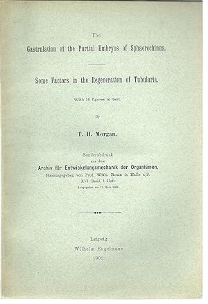 Imagen del vendedor de 36 offprints from Nobel Prize winner Thomas Hunt Morgan by Morgan, T. H. (Thomas Hunt Morgan) a la venta por Robinson Street Books, IOBA