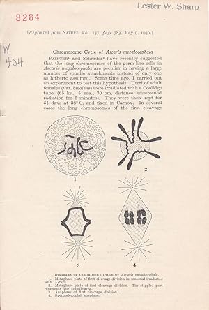 Chromosome Cycle of Ascaris Megalocephala by M. J. D. White