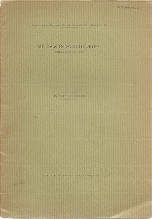 Bild des Verkufers fr Mitosis in Synchytrium by Griggs, Robert F. zum Verkauf von Robinson Street Books, IOBA