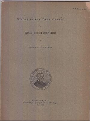 Stages in the Development of Sium Cicutaefolium by Shull, George Harrison