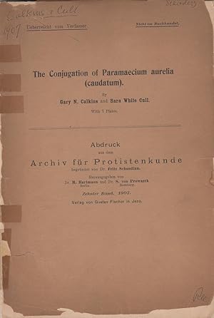 Seller image for The Conjugation of Paramecium aurelia (caudatum) by Calkins, Gary N. and Cull, Sara White for sale by Robinson Street Books, IOBA