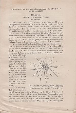 Seller image for Rhizochrysis by Doflein, F. and Breisgau, Freiburg L. for sale by Robinson Street Books, IOBA