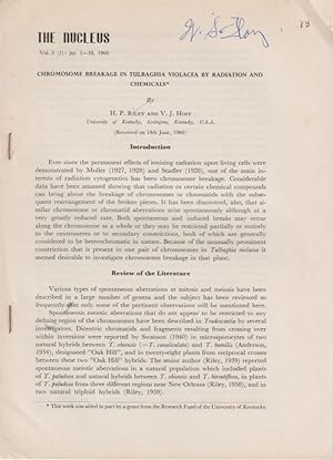 Seller image for Chromosome Breakage in Tulbaghia Violacea by Radiation and Chemicals by Riley, H.P. and Hoff, V.J. for sale by Robinson Street Books, IOBA
