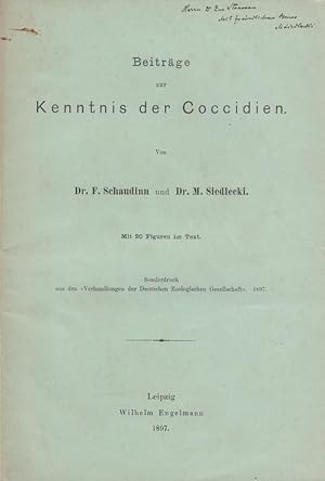 Seller image for Beitrag zur Kenntnis der Coccidien by Schaudinn, F. and Siedlecki, M. for sale by Robinson Street Books, IOBA
