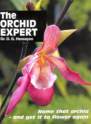 The Orchid Expert: Name that orchid - and get it to flower again