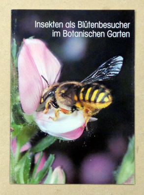 Insekten als Blütenbesucher im Botanischen Garten Zürich.