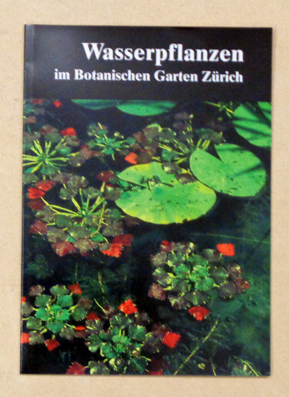 Wasserpflanzen im Botanischen Garten Zürich.