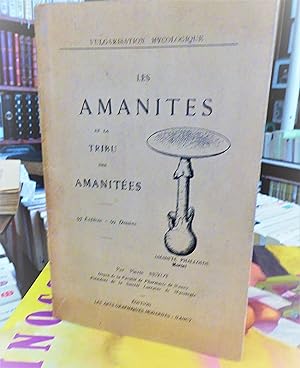 les amanites et la tribu des amanitées