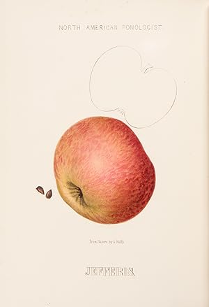 Bild des Verkufers fr Hoffy's North American Pomologist, containing numerous finely colored drawings, accompanied by letter press descriptions, &c, of fruits of American origin. Edited by William D. Brinckl zum Verkauf von Donald A. Heald Rare Books (ABAA)