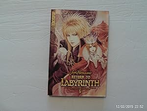 Seller image for Jim Henson's Return To Labyrinth, vol. 1 for sale by W. R. Slater - Books