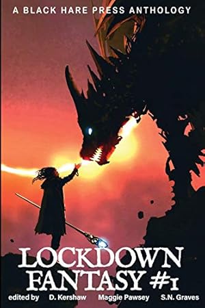 Seller image for FANTASY #1: Lockdown Fantasy [Soft Cover ] for sale by booksXpress