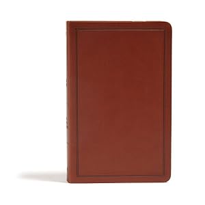 Seller image for Holy Bible : King James Version, Brown Leathertouch for sale by GreatBookPrices