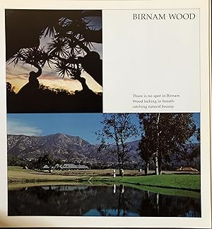 Seller image for BIRNAM WOOD for sale by Lost Horizon Bookstore