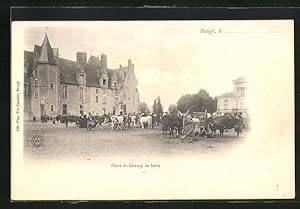 Carte postale Baugé, Place du Champ de foire