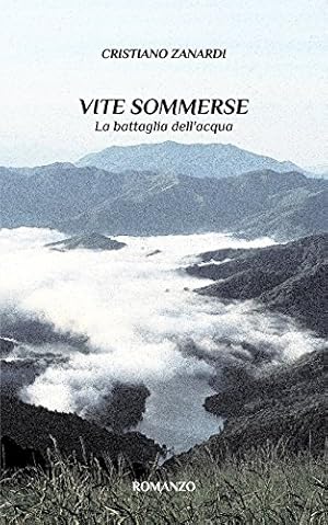 Bild des Verkufers fr VITE SOMMERSE (Italian Edition) by Zanardi, Cristiano [Paperback ] zum Verkauf von booksXpress